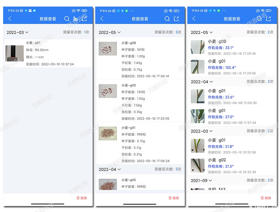 小麦表型检测仪数据结果 小麦表型检测仪数据结果
