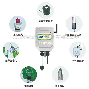 植物生理生态监测系统 植物生理生态监测系统