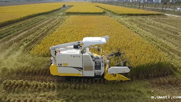 江苏海门：打造数字化高标准农田，为乡村振兴蓄势赋能