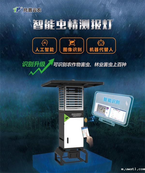 害虫无处逃，点点电脑“虫脸识别”有妙招