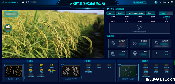 种业振兴 科技赋能 点点电脑为浙江种业高质...