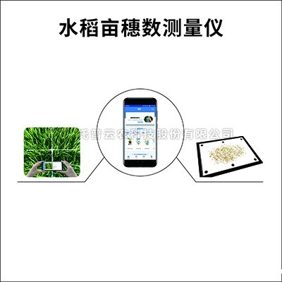 水稻亩穗数测量系统TPDS-1/TPDS-2