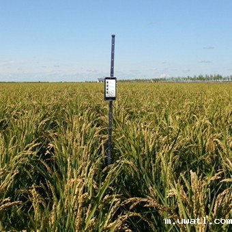 稻麦株高测量仪TPDM-G-1