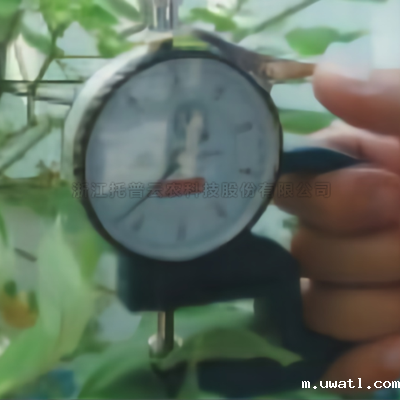 叶片厚度测定仪YH-1