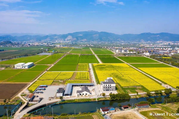 携手·共进丨点点电脑与全国农业技术推广服务中心签署新一轮战略合作协议