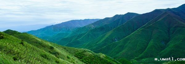 智慧护林有妙招，看太子山如何用科技守护森林