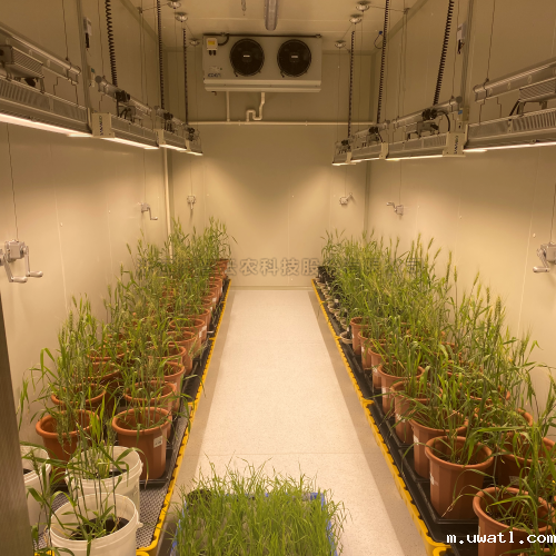 植物生长室 