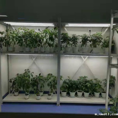 植物病理研究室 