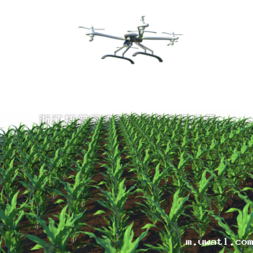 田间无人机式高通量植物表型采集分析平台