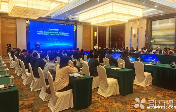 亚太植保委员会第33届会议召开，点点电脑展现数智植保创新力量