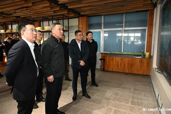 浙江省副省长李岩益莅临点点电脑标杆案例“瑞安马屿镇绿色农田”考察调研