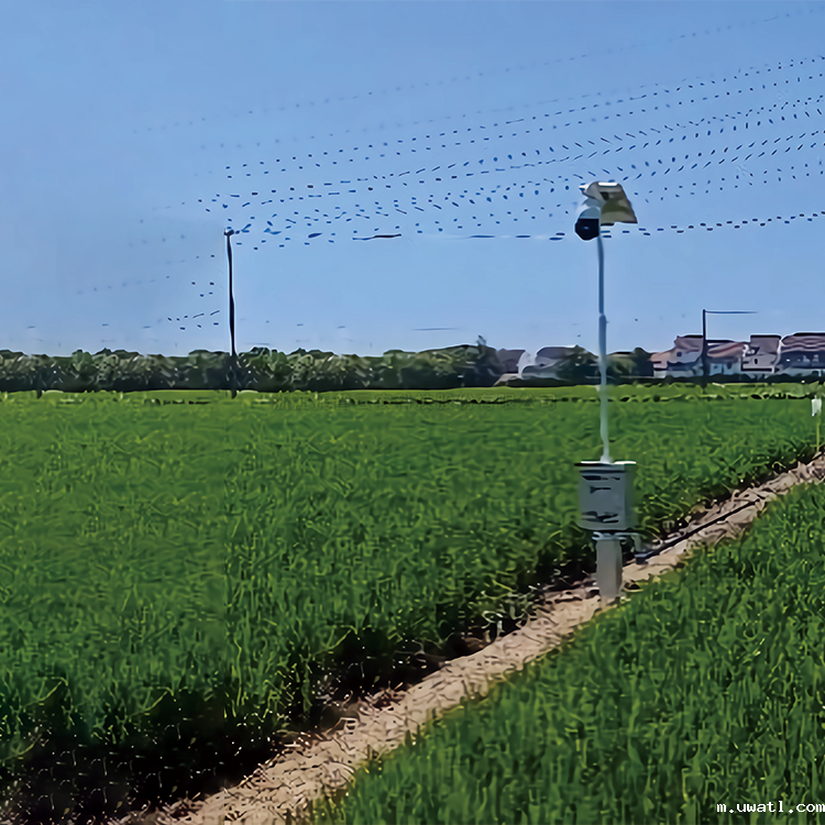 自动赶蛾智能统计杆TP-GESB2.0