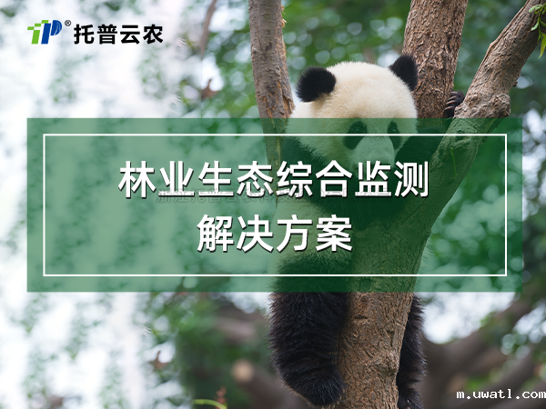 林业生态综合监测解决方案