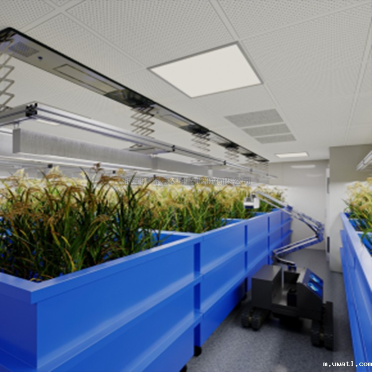 无人车式高通量表型采集分析平台（侧升式） TP-GTL-ARC