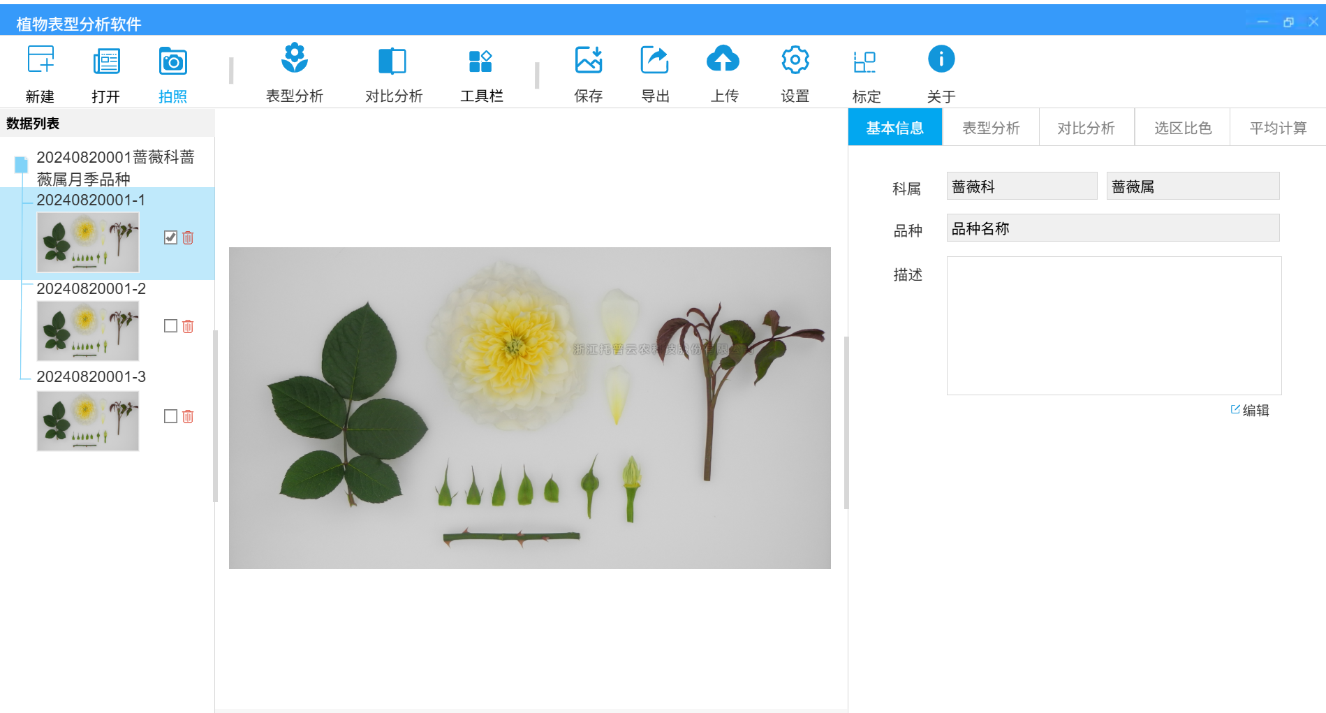 植物表型自动化分析软件