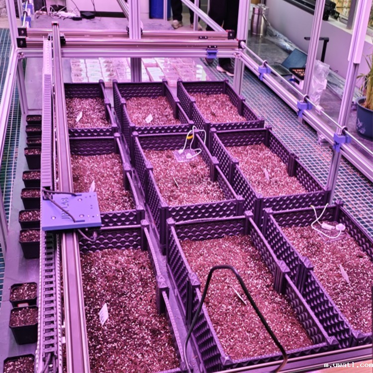 人工气候室植物表型监测系统 TPN-PlantPhy