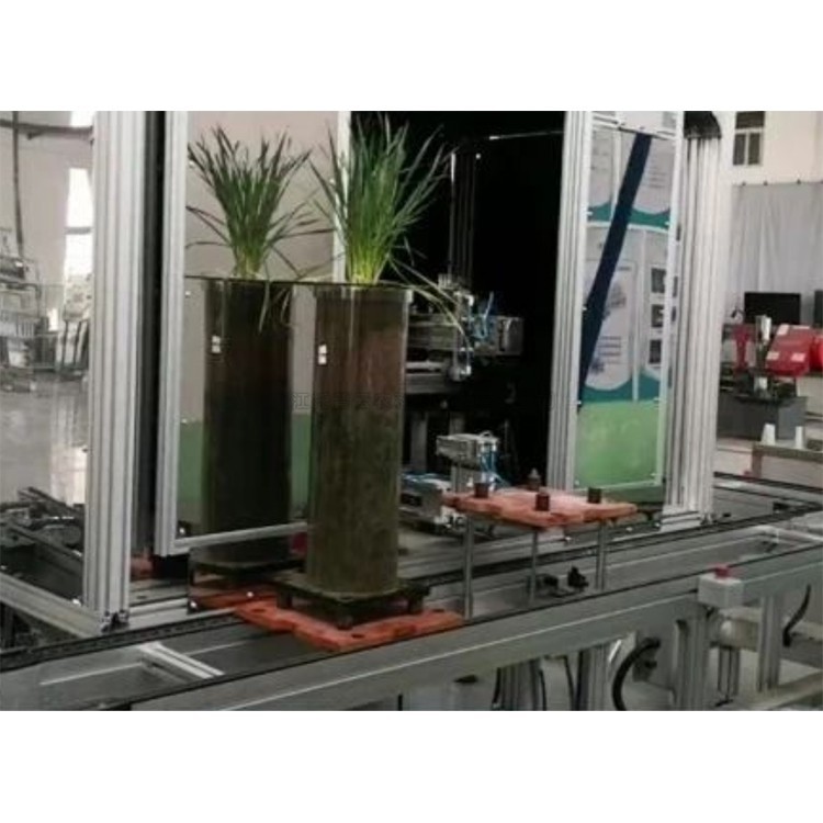 高通量植物根系表型采集分析系统（根筒式）TPN-GXY-GT