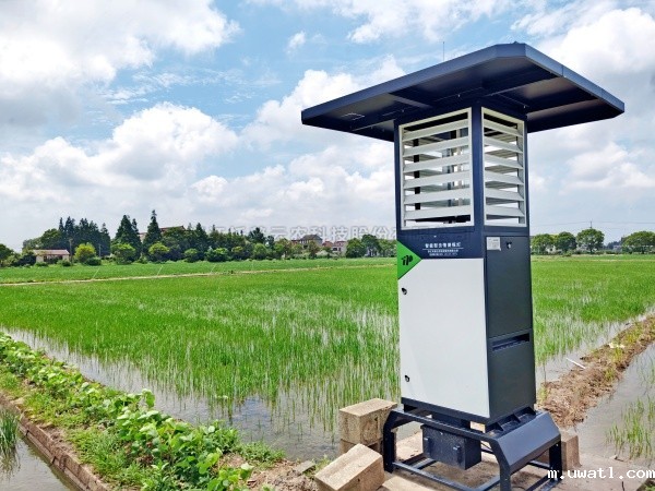 AI+农业 | 点点电脑“AI虫情测报灯”引领智慧植保新变革