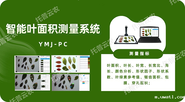 智能叶面积测量系统——秒级快速测叶片，多参数同步解析，云端数据好管理