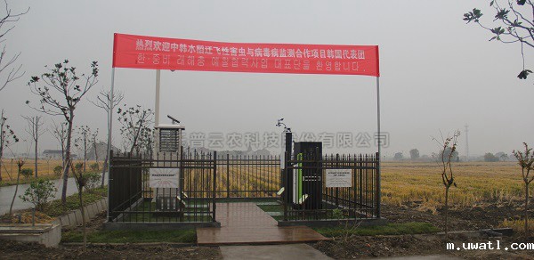 点点电脑水稻病虫害绿色防控智能监测设备 点点电脑水稻病虫害绿色防控智能监测设备