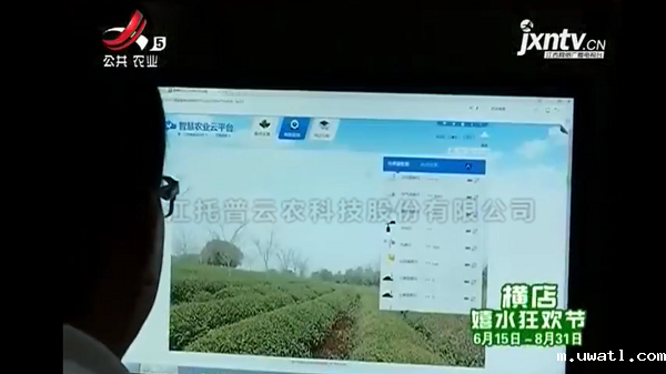 江西公共卫视播报修水果菜茶替代项目 江西公共卫视播报修水果菜茶替代项目