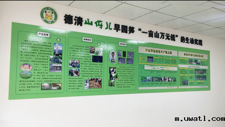 德清山伢儿早园笋相关展示内容 德清山伢儿早园笋相关展示内容