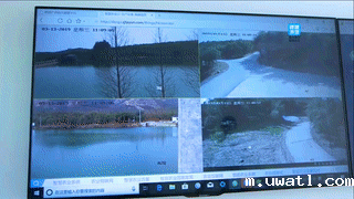 德清山伢儿早园笋物联网监测平台 德清山伢儿早园笋物联网监测平台