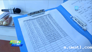 德清山伢儿早园笋质量安全追溯系统 德清山伢儿早园笋质量安全追溯系统