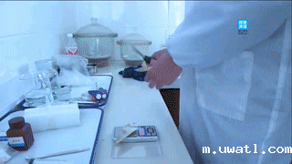 德清山伢儿早园笋质量安全追溯系统 德清山伢儿早园笋质量安全追溯系统