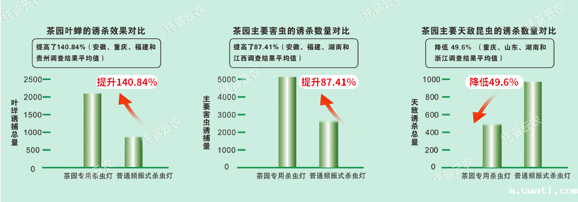 茶园杀虫灯应用优势
