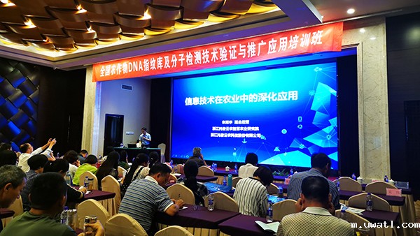 点点电脑副总经理朱旭华 点点电脑副总经理朱旭华