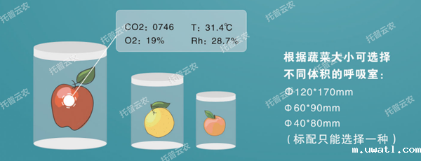 选择不同体积的呼吸室