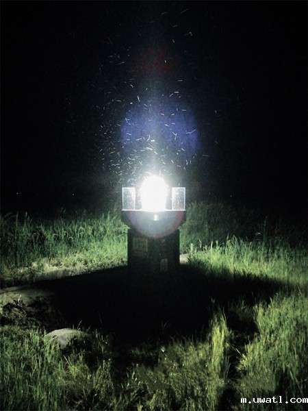 科技尖兵,夜灯长明 科技尖兵,夜灯长明