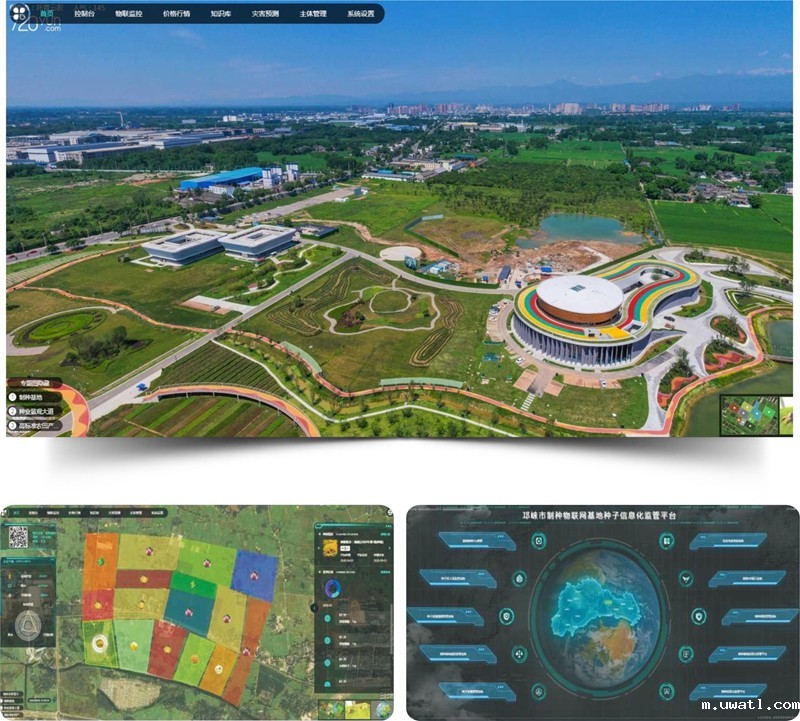 邛崃制种基地 邛崃制种基地