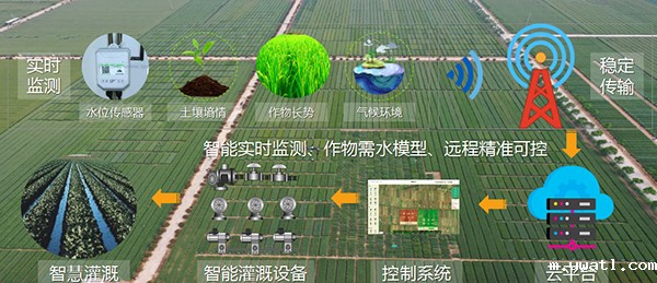 1629856220734669.jpg 1.jpg