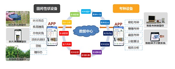 1629856328871752.jpg 2.jpg