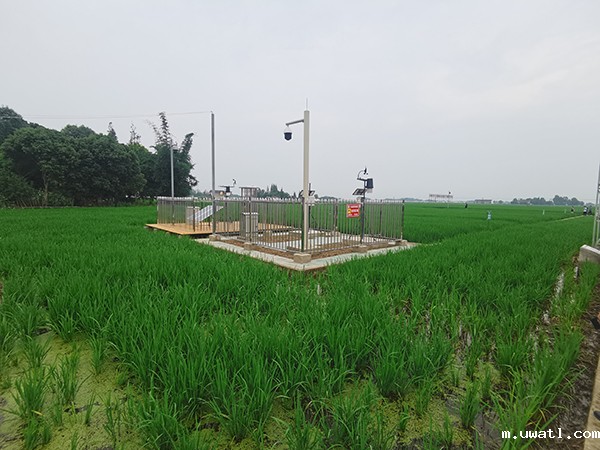 1629958967222089.jpg 图片1.jpg