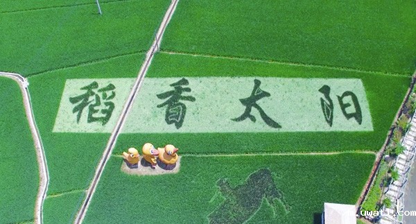 1637301210202570.jpg 1.jpg