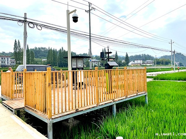 1637301227722741.jpg 2.jpg