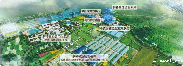 点点电脑数字种业创新应用基地 点点电脑数字种业创新应用基地