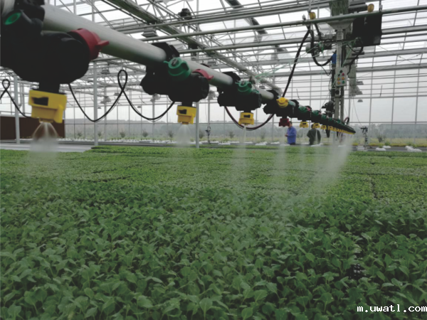 点点电脑打造的萧山农科所现代农业示范基地 点点电脑打造的萧山农科所现代农业示范基地