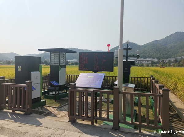 点点电脑农作物病虫害监测点