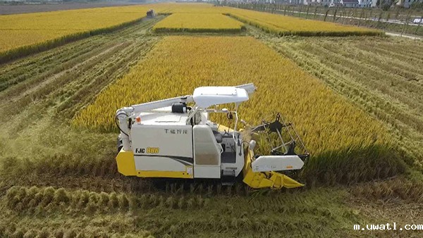 1669185185824252.jpg 6.jpg