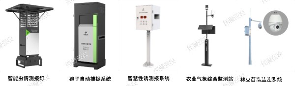 1685949605388503.jpg 6.jpg