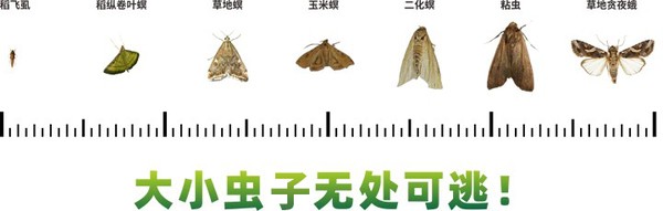 1690435440301941.jpg 4.jpg