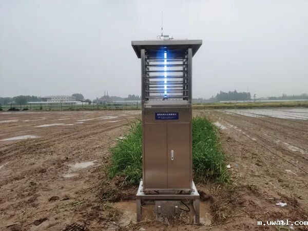 1690435525718742.jpg 6.jpg