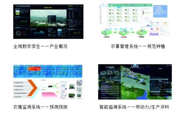 1695025837166467.jpg 3.jpg