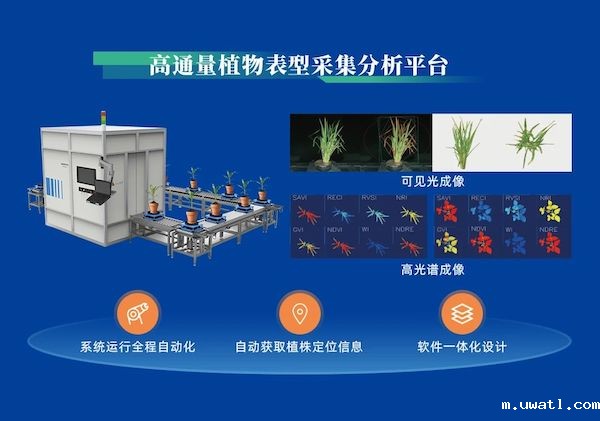 1729502868153935.jpeg 5.jpeg