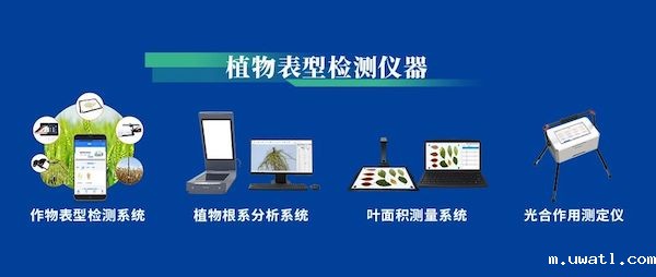 1729502889550187.jpeg 6.jpeg