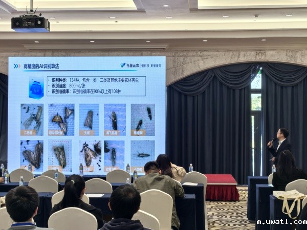 1729847429244041.jpg 2_副本.jpg